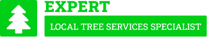 North Shore Tree Care - Tree Removal North Shore